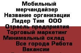 Мобильный мерчандайзер › Название организации ­ Лидер Тим, ООО › Отрасль предприятия ­ Торговый маркетинг › Минимальный оклад ­ 23 000 - Все города Работа » Вакансии   . Белгородская обл.